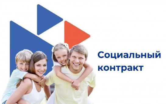 Информация по  государственной социальной помощи на основании социального контракта по поиску работы и  по ведению личного хозяйства